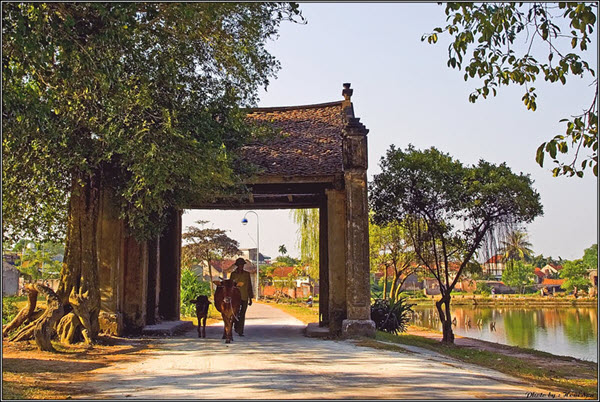 du lịch quanh Hà Nội - làng cổ Đường Lâm