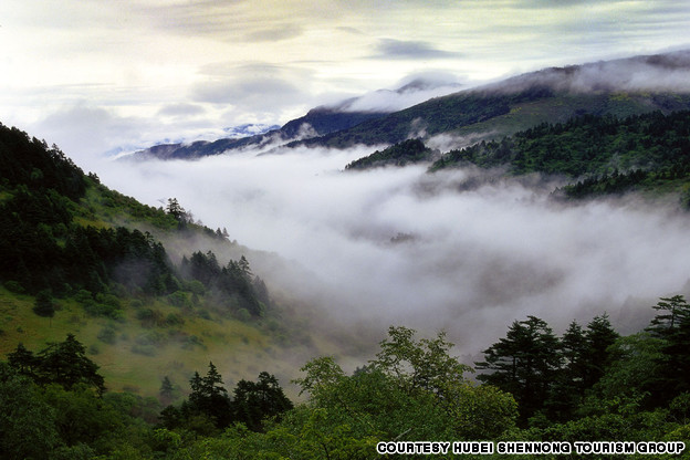 Shennongjia Shennongjia