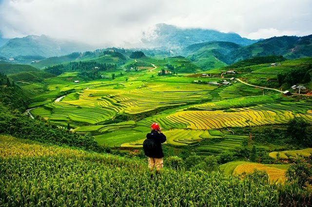 Sân vườn bậc thang Sapa