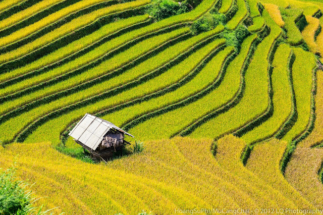 Khu ruộng bậc thang Mù Cang Chải