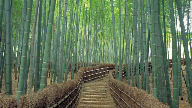 Sagano (Kyoto)