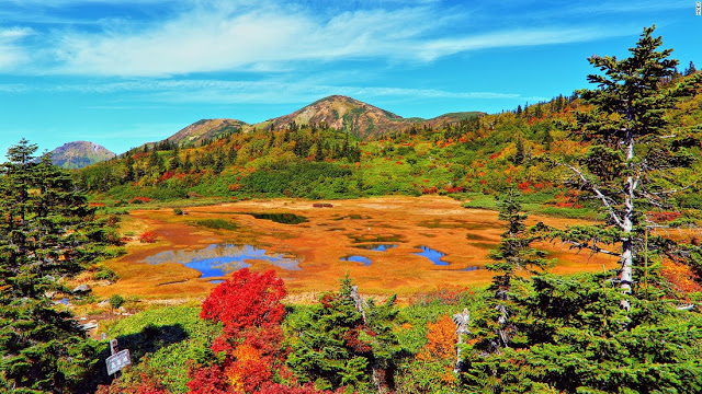 Koya Pond (Niigata)