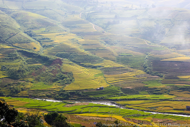 Mù Cang Chải 