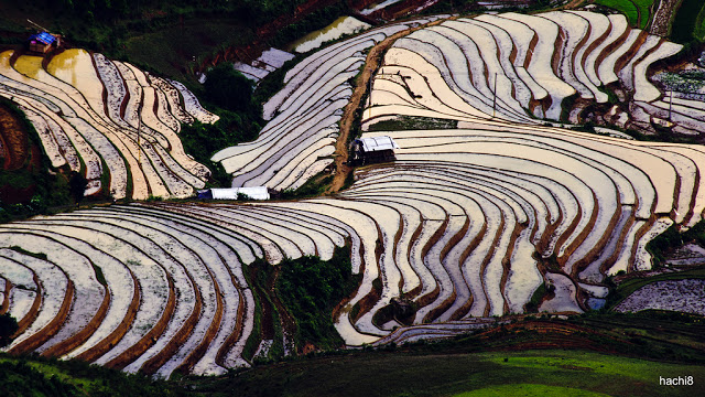 Trường Cao Đẳng Cao Phạ