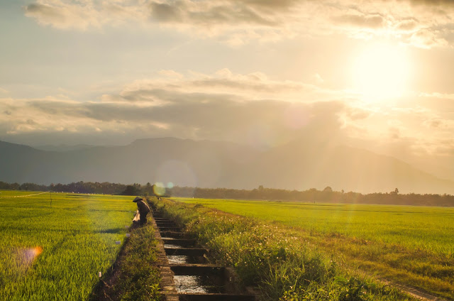 Hoàng hôn trên sân