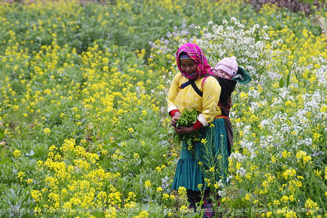 Dân tộc thiểu số miền Bắc Việt Nam