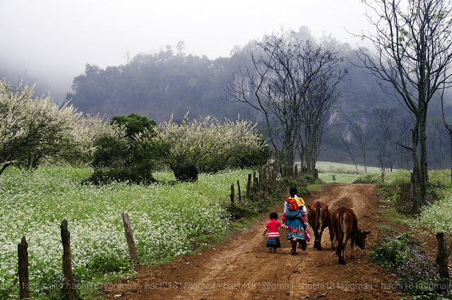 Dân tộc thiểu số miền Bắc Việt Nam