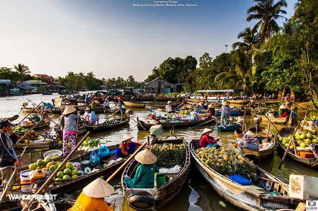 Đồng bằng sông Cửu Long