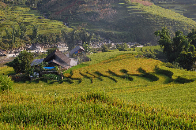 Sapa-vietnam
