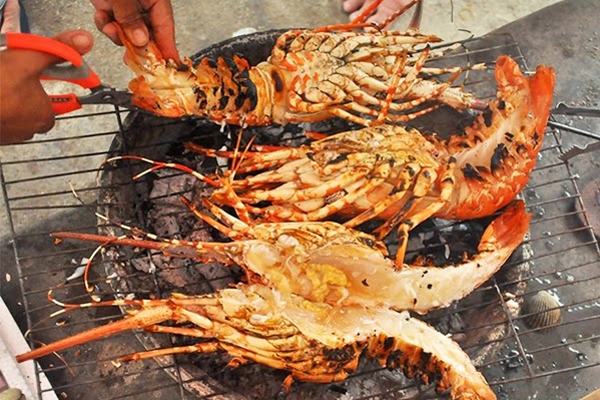 Bình Lập - thiên đường "chậm chạp" ở Khánh Hoà