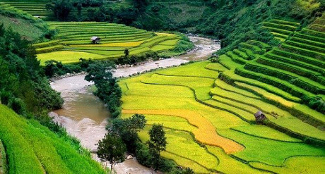 Tháng 9 mùa lúa chín: Vừa mải ngắm vừa có ảnh nghìn like - Ảnh 3 Thang 9 mua lua chin: Vua mai ngam vua co anh nghin like - Anh 3