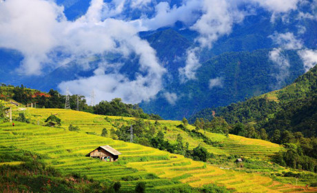 Tháng 9 mùa lúa chín: Vừa mải ngắm vừa có ảnh nghìn like - Ảnh 4 Thang 9 mua lua chin: Vua mai ngam vua co anh nghin like - Anh 4