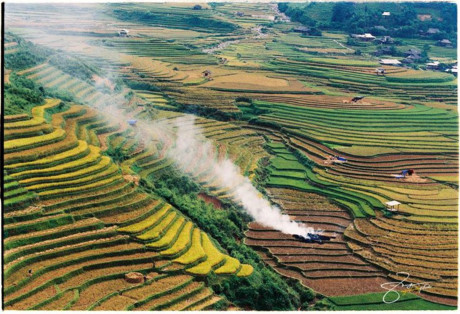 Tháng 9 mùa lúa chín: Vừa mải ngắm vừa có ảnh nghìn like - Ảnh 8 Thang 9 mua lua chin: Vua mai ngam vua co anh nghin like - Anh 8