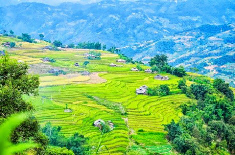Tháng 9 mùa lúa chín: Vừa mải ngắm vừa có ảnh nghìn like - Ảnh 11 Thang 9 mua lua chin: Vua mai ngam vua co anh nghin like - Anh 11