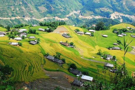 Tháng 9 mùa lúa chín: Vừa mải ngắm vừa có ảnh nghìn like - Ảnh 12 Thang 9 mua lua chin: Vua mai ngam vua co anh nghin like - Anh 12