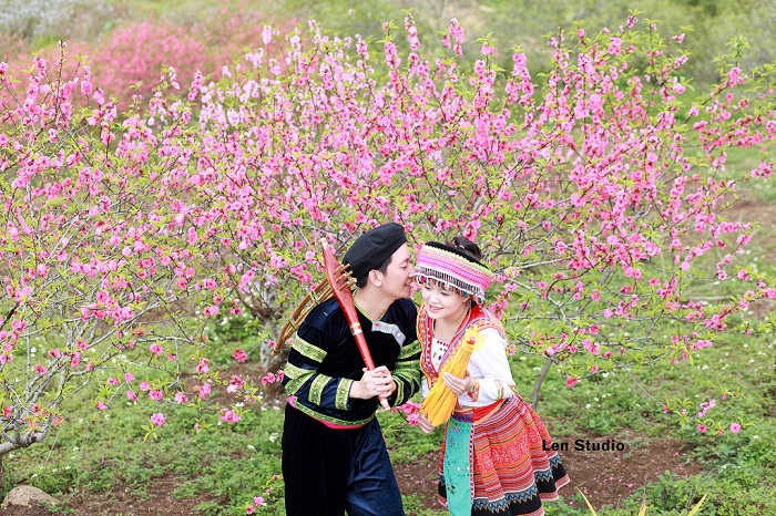 Image result for sapa mà u xuân