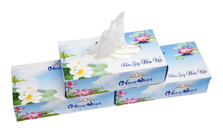 Cần chuẩn bị những gì khi đi dã ngoại? (2)