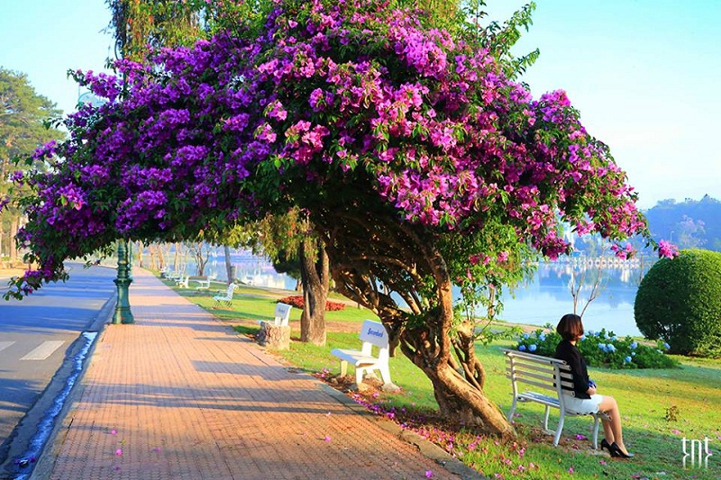 Du lịch ở đâu vào tháng 9 5