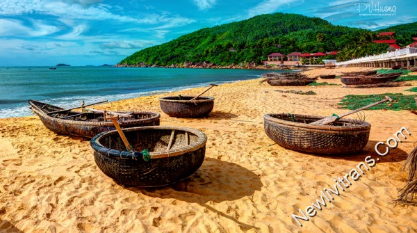 quy nhơn