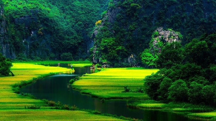 Top 5 hang động lớn nhất - đẹp nhất ở Việt Nam6