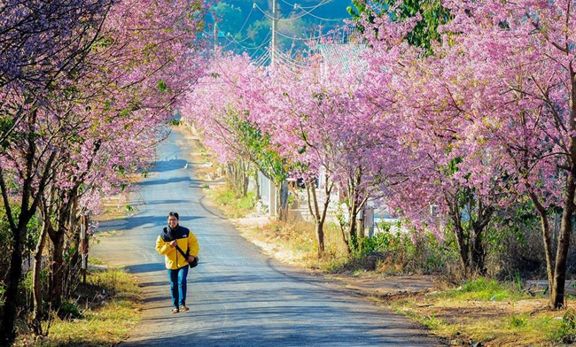 Viện nghiên cứu khoa học Đà Lạt (10)